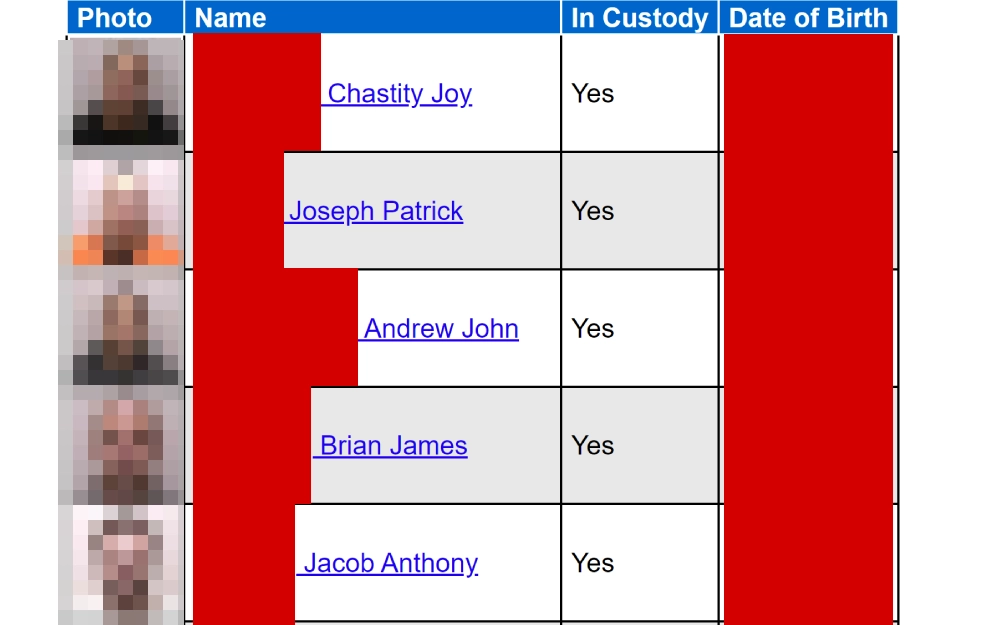 A screenshot showing information such as a mugshot photo, name, in-custody details and date of birth from the Grand Traverse County website.